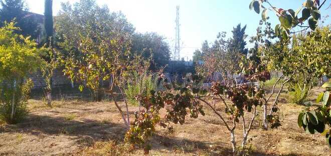 Satılır  torpaq 22 sot, Bilgəh q., photo 12 from 14