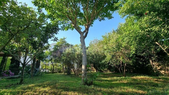10 otaqlı həyət evi/bağ evi - Bülbülə q. - 408 m² (24)