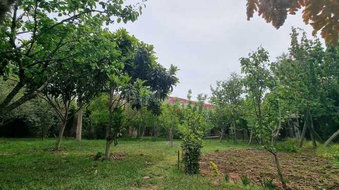 10 otaqlı həyət evi/bağ evi - Bülbülə q. - 408 m² (28)