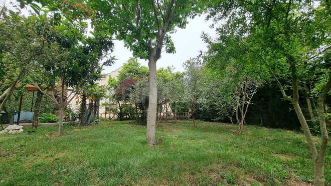 10 otaqlı həyət evi/bağ evi - Bülbülə q. - 408 m² (18)