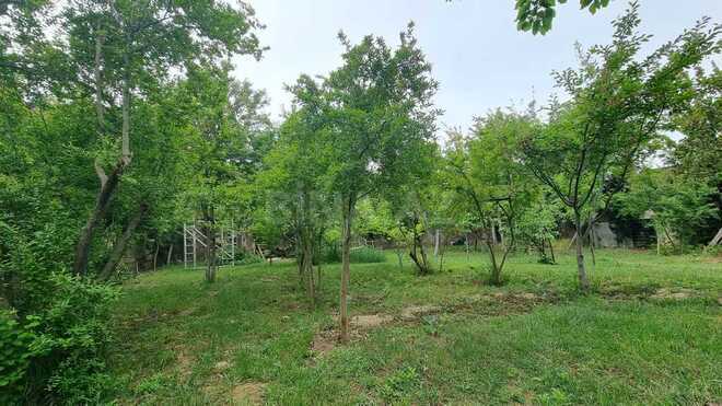 10 otaqlı həyət evi/bağ evi - Bülbülə q. - 408 m² (19)