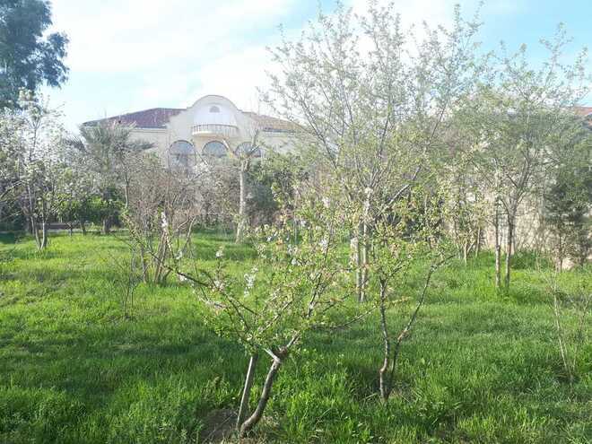 10 otaqlı həyət evi/bağ evi - Bülbülə q. - 408 m² (8)
