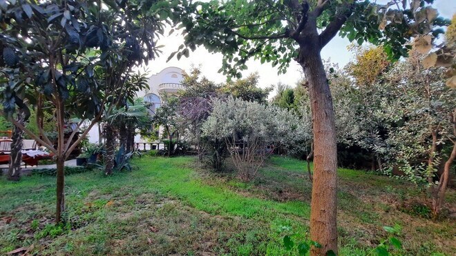 10 otaqlı həyət evi/bağ evi - Bülbülə q. - 408 m² (27)