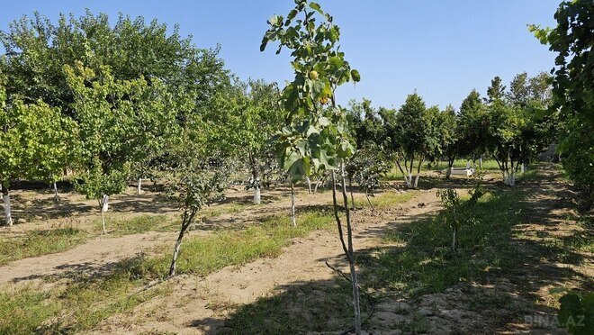 Satılır  torpaq 38 sot, Badamdar q., photo 11 from 16