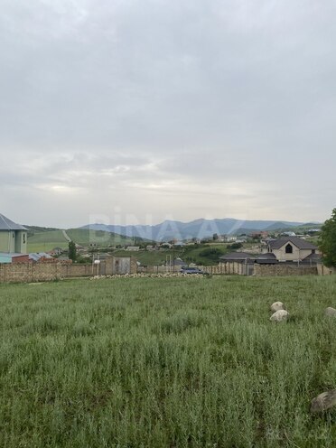 Torpaq - Şamaxı - 27 sot (9)