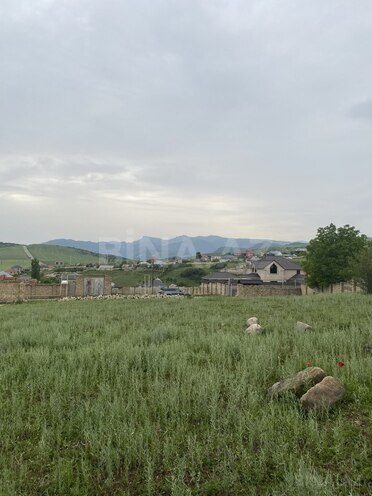 Torpaq - Şamaxı - 27 sot (8)