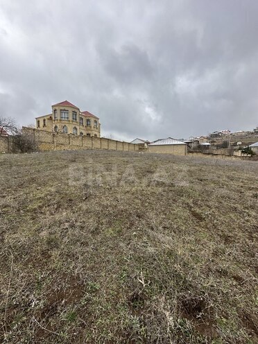 Torpaq - Şamaxı - 27 sot (6)
