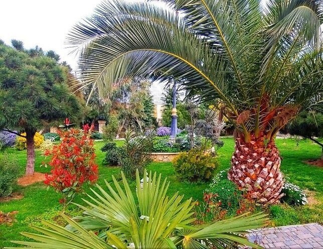 7 otaqlı həyət evi/bağ evi - Mərdəkan q. - 560 m² (30)