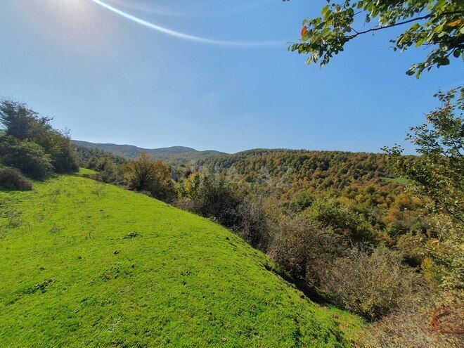 Satılır  torpaq 200 sot, photo 8 from 12