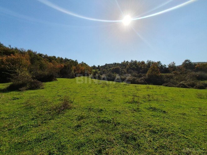 Satılır  torpaq 200 sot, photo 7 from 12