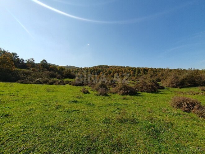 Satılır  torpaq 200 sot, photo 6 from 12