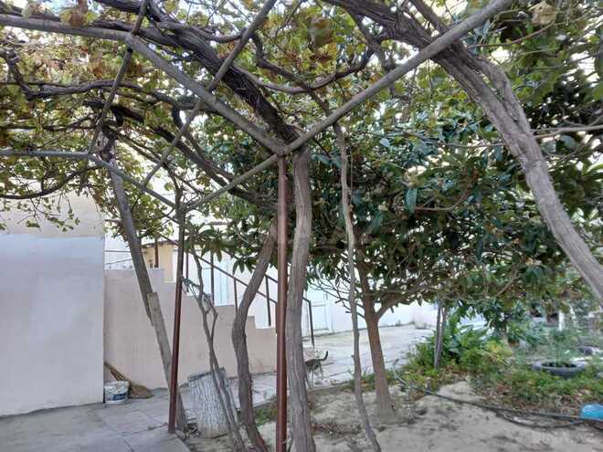 8 otaqlı həyət evi/bağ evi - Qara Qarayev m. - 250 m² (4)