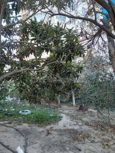 8 otaqlı həyət evi/bağ evi - Qara Qarayev m. - 250 m² (7)