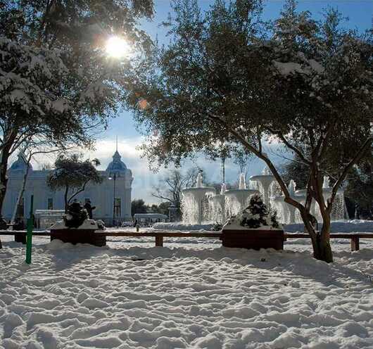 Продаётся 3-комн. вторичка 102 м², м. Сахил, photo 4 from 32