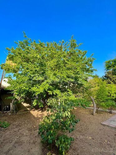 Satılır  torpaq 10 sot, Mərdəkan q., photo 1 from 4