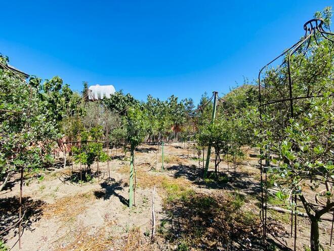 Satılır 3 otaqlı həyət evi/bağ evi 120 m², Dübəndi q., photo 9 from 24