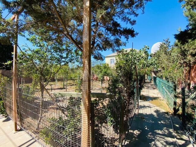 Satılır 3 otaqlı həyət evi/bağ evi 120 m², Dübəndi q., photo 11 from 24