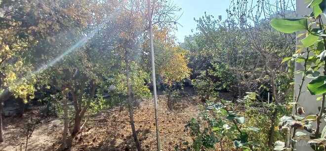 Продаётся 6-комн. дом/дача 300 м², пос. Ени Гюнешли, photo 12 from 31