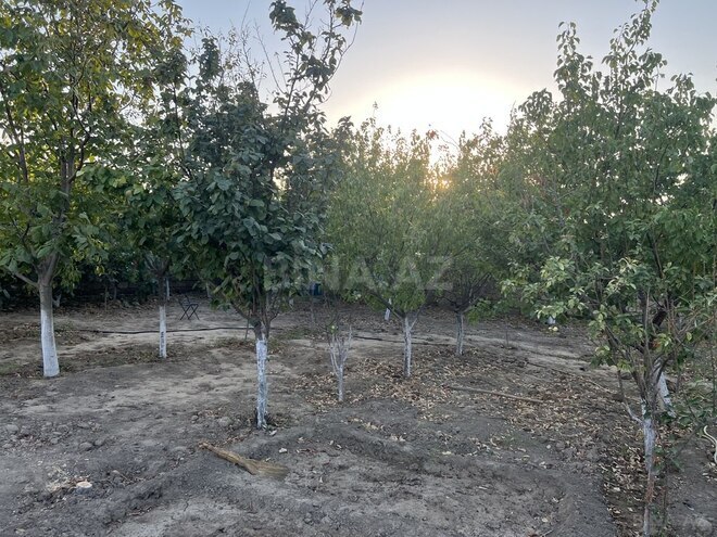 Продаётся  дом/дача 200 м², пос. Горадил, photo 5 from 19