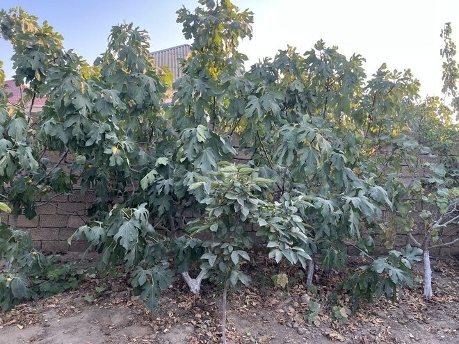 Продаётся  дом/дача 200 м², пос. Горадил, photo 7 from 19