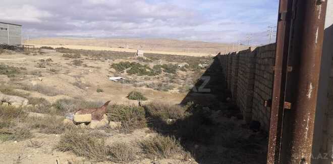 Продаётся  участок 100 сот, пос. Сахиль, photo 3 from 5