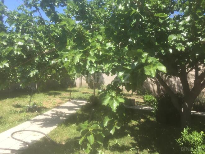 7 otaqlı həyət evi/bağ evi - Buzovna q. - 300 m² (8)