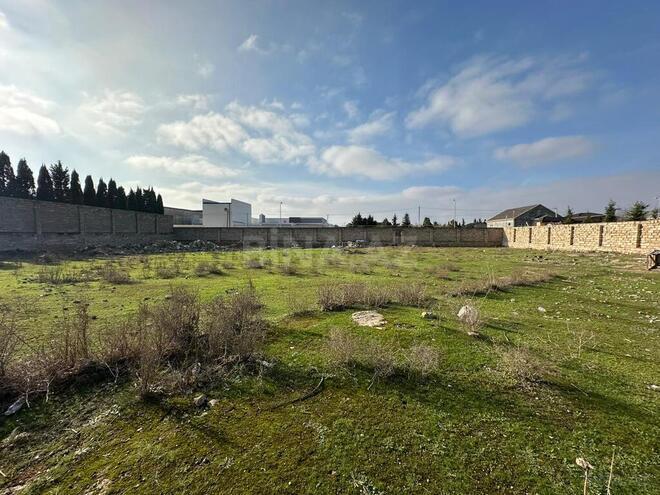 Продаётся  участок 24 сот, пос. Шувеляны, photo 7 from 11