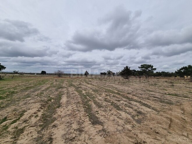 Satılır  torpaq 385 sot, Binə q., photo 8 from 20