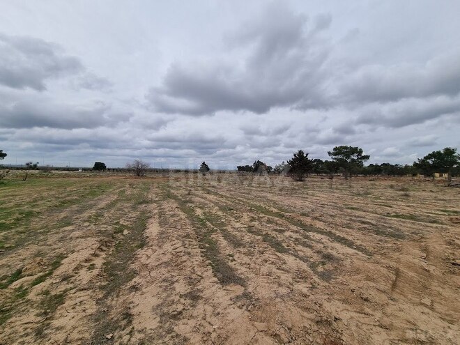 Satılır  torpaq 385 sot, Binə q., photo 10 from 20