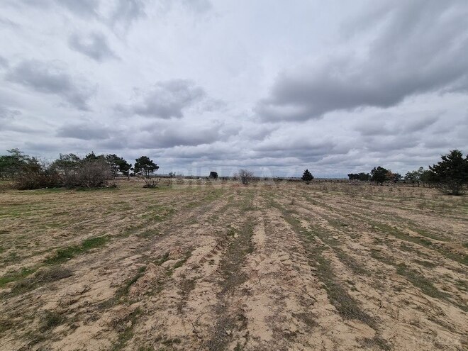 Satılır  torpaq 385 sot, Binə q., photo 7 from 20