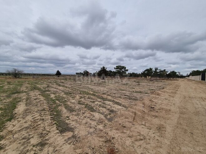 Satılır  torpaq 385 sot, Binə q., photo 9 from 20