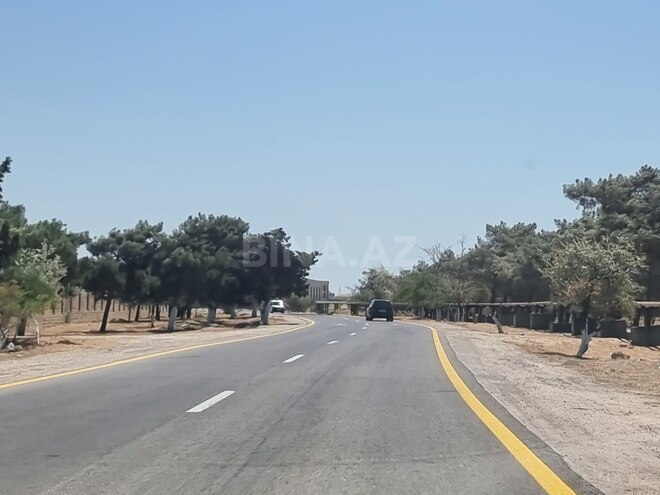 Satılır  torpaq 385 sot, Binə q., photo 6 from 20