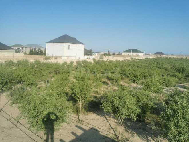 Продаётся  участок 47 сот, пос. Зире, photo 4 from 7