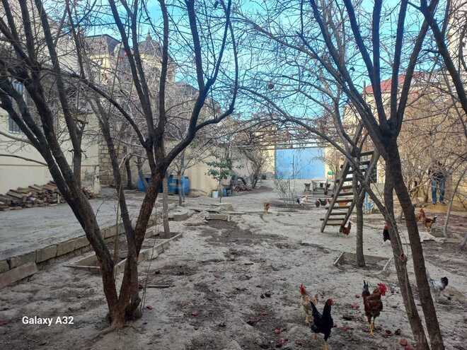 Продаётся 3-комн. дом/дача 125 м², м. Насими, photo 9 from 15