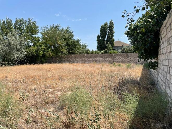 Satılır  torpaq 10 sot, Buzovna q., photo 3 from 7