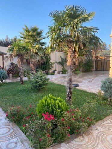 5 otaqlı həyət evi/bağ evi - Mərdəkan q. - 340 m² (4)