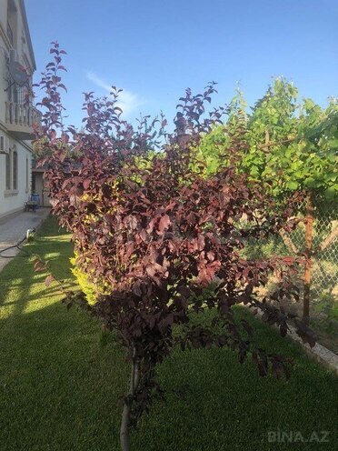 5 otaqlı həyət evi/bağ evi - Mərdəkan q. - 340 m² (6)