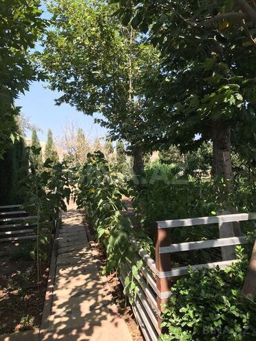 Продаётся 10-комн. дом/дача 500 м², пос. Sea Breeze, photo 15 from 32