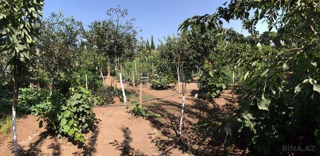 Продаётся 10-комн. дом/дача 500 м², пос. Sea Breeze, photo 14 from 32