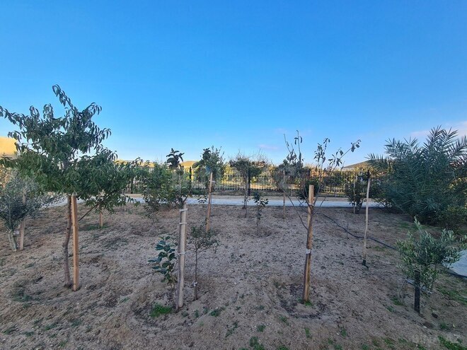 6 otaqlı həyət evi/bağ evi - Bilgəh q. - 350 m² (4)