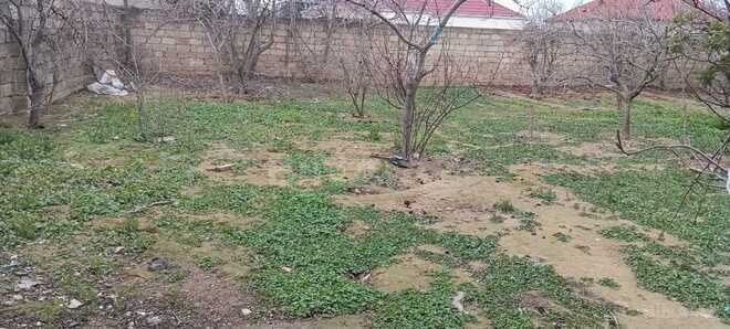 3 otaqlı həyət evi/bağ evi - Buzovna q. - 100 m² (11)