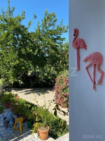 5 otaqlı həyət evi/bağ evi - Nardaran q. - 300 m² (14)