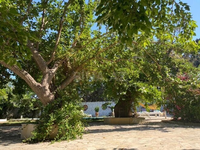 5 otaqlı həyət evi/bağ evi - Nardaran q. - 300 m² (8)