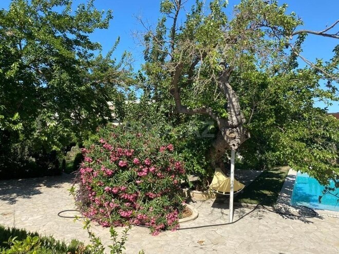 5 otaqlı həyət evi/bağ evi - Nardaran q. - 300 m² (13)
