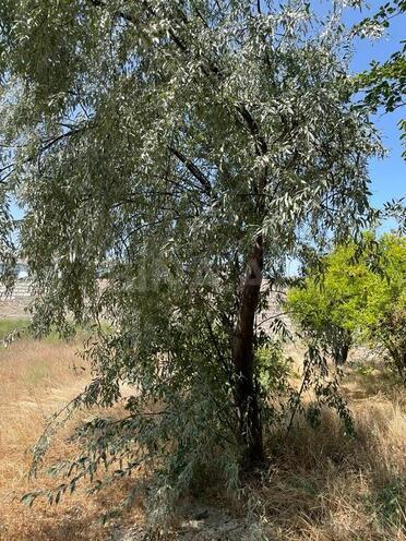 Продаётся  участок 10 сот, пос. Бузовна, photo 13 from 20