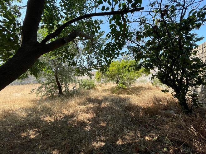 Продаётся  участок 10 сот, пос. Бузовна, photo 4 from 20