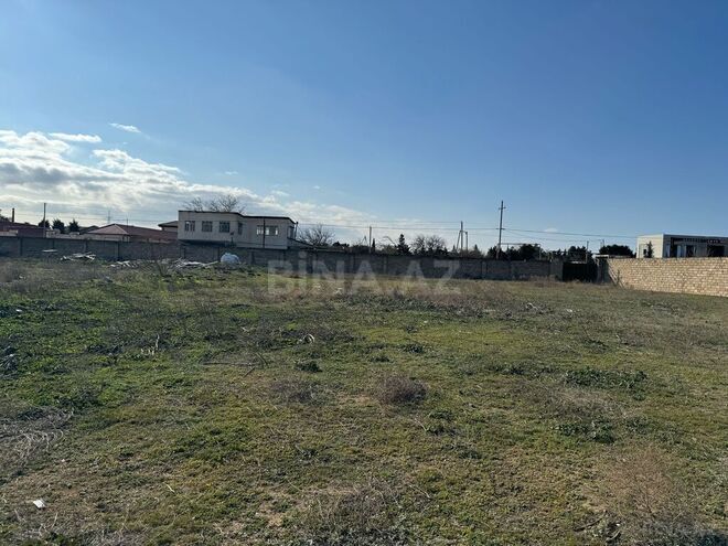 Участок - пос. Шувеляны - 50 сот (5)