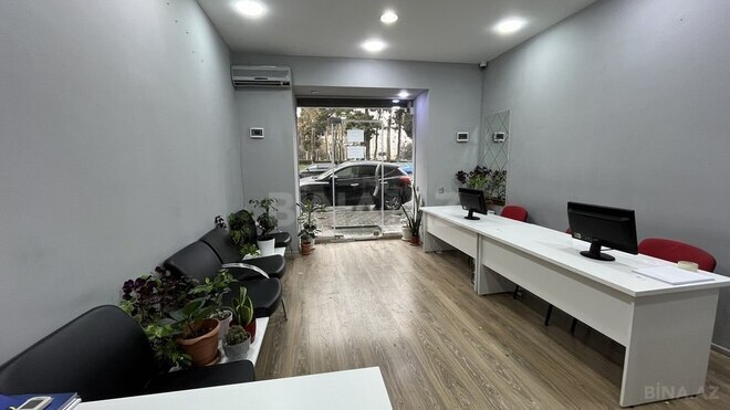 Obyekt - 28 May m. - 50 m² (1)