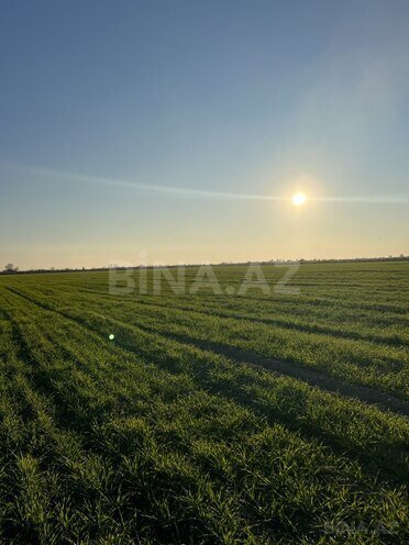 Satılır  torpaq 2 000 sot, photo 3 from 6