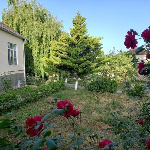 4 otaqlı həyət evi/bağ evi - Quba - 90 m² (4)